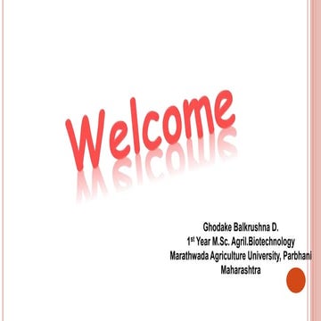 Chromatin Structure and Function