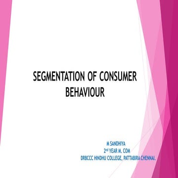 SEGMENTATION OF CONSUMER