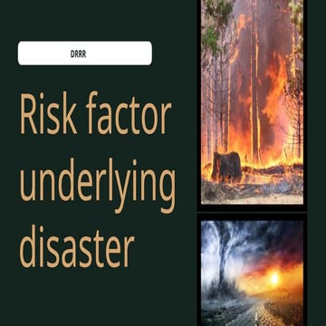 Understanding Risk Factors Underlying Disasters and Disaster Risk ...