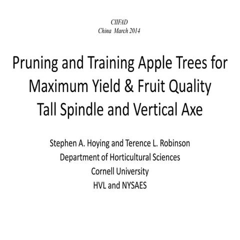 Ppt fruit-apple-pruning-training-hoying-cornell-2014-eng