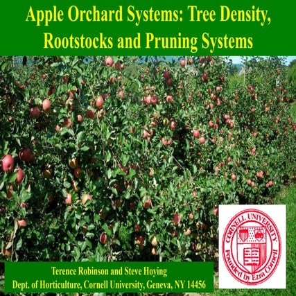 Ppt fruit-apple-tree-orchard-systems-robinson-cornell-2014-eng
