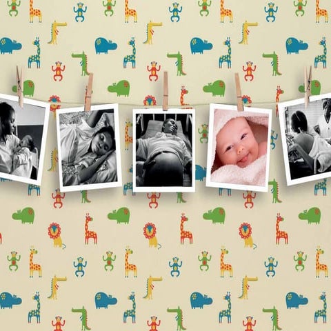 Ppt geboortelijstfr-0310-140327070627-phpapp02