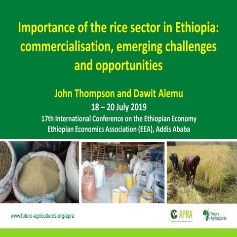 Importance of the rice sector in ethiopia 
