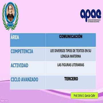 PPT - LAS FIGURAS LITERARIAS.pptx