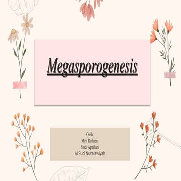 PPT-Megasporogenesis-1.pptx