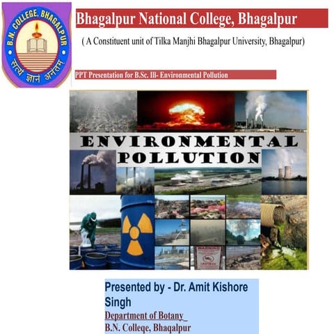 Presentation--Environmental-Pollution.pptx