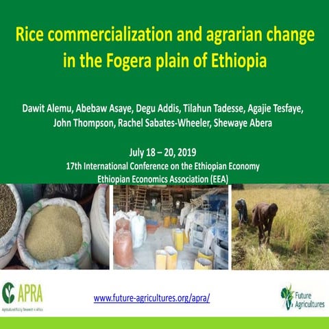 Rice Commercialization and Agrarian Change in the Fogera Plain of Ethiopia