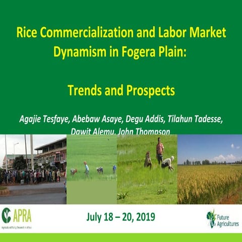 Rice Commercialization and Labor Market Dynamism in Fogera Plain: Trends and ...