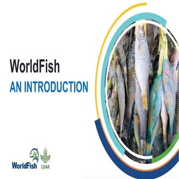 WorldFish An Introduction