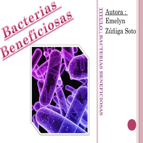 Las Bacterias