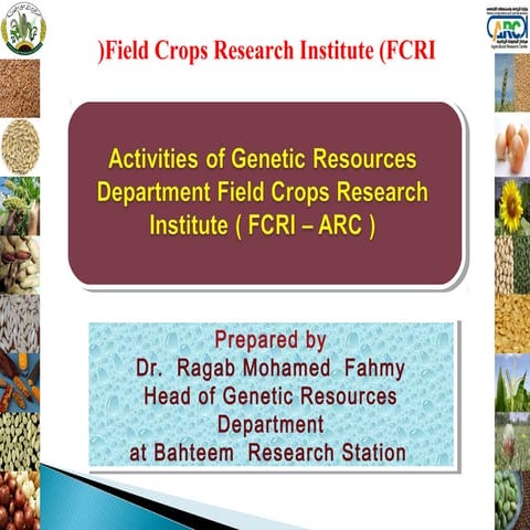 Activities of Genetic Resources Department Field Crops Research Institute (FC...