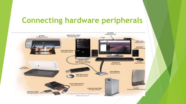 Identifying and categorizing computer software