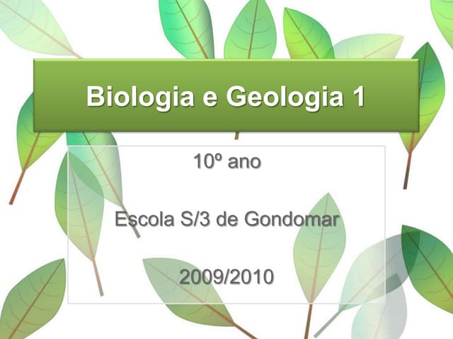 Ppt 1   ApresentaçãO Do Programa