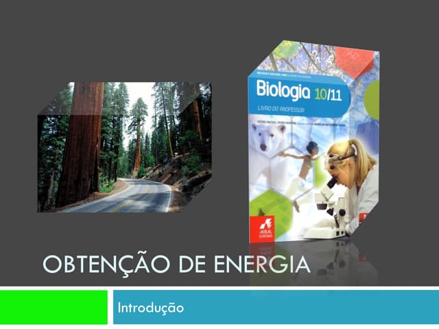 Ppt 1   ObtençãO De Energia