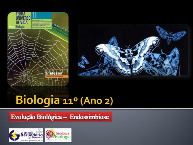 Ppt 19   Unicelularidade E Multicel...