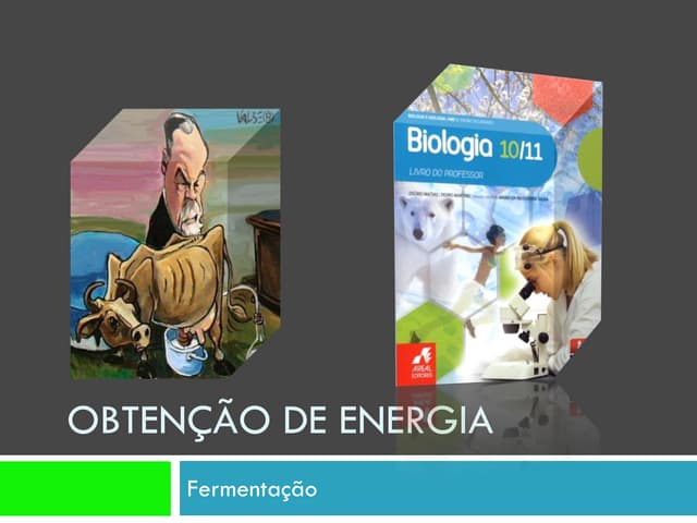Ppt 2   FermentaçãO