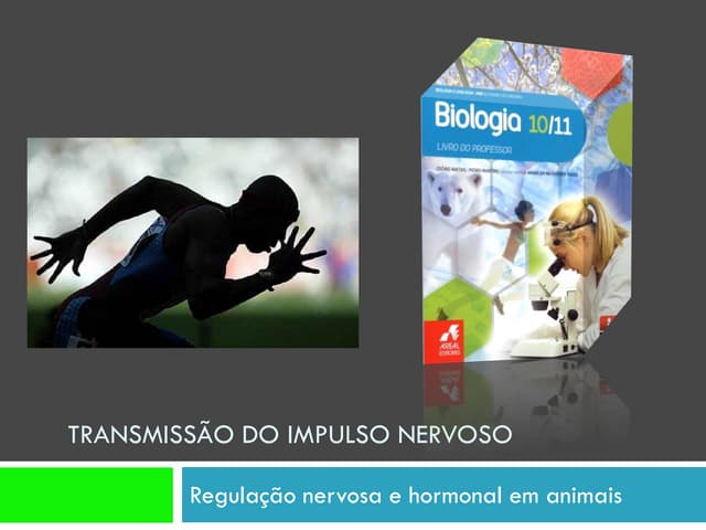 Ppt 2   RegulaçãO Nervosa E Hormona...