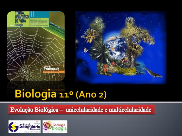Ppt 20    Unicelularidade E Multice...
