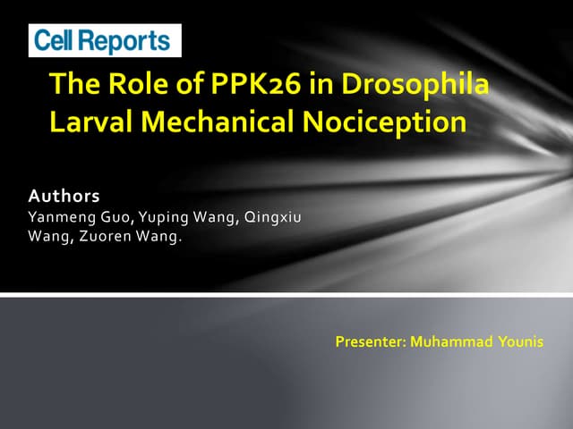 Ppt 21 9-15