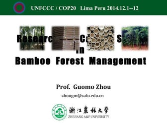 Research on Carbon Sinks in Bamboo Forest Management  