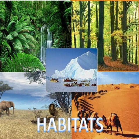 Habitats 2