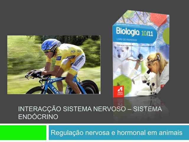 Ppt 3   RegulaçãO Nervosa E Hormona...