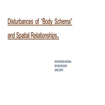 distribution of body schema and spatial relationship