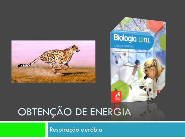Ppt 4   RespiraçãO AeróBia