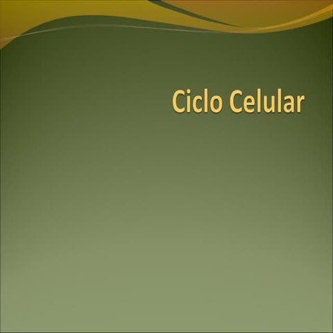 Ppt 4 ciclo celular