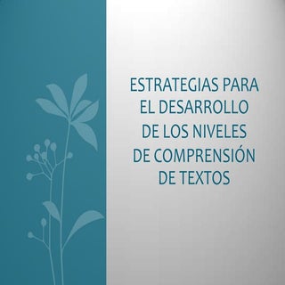 Ppt4 estrategia para el desarrollo ...