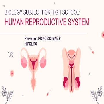 Ppt 4Human Reproductive SystemGrade10.pptx