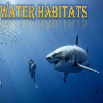 Water habitats