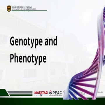 PPT6-genotype and phenotype: What are they? .pptx