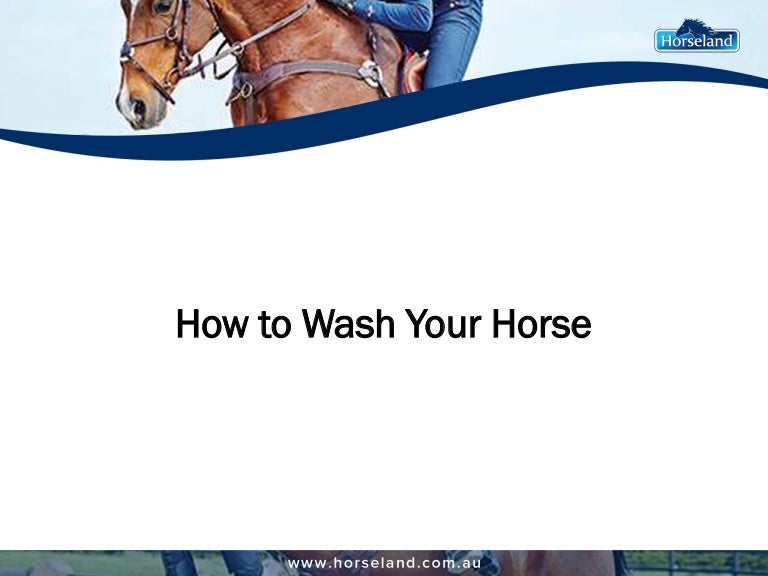 How to Wash Your Horse