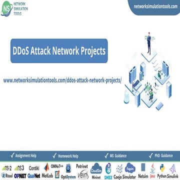 DDoS Attack Network Projects Assistance