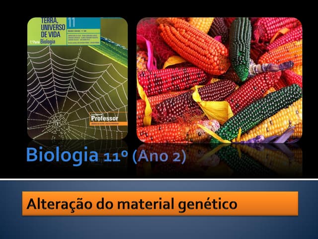 Ppt 9    AlteraçãO Do Material Gené...