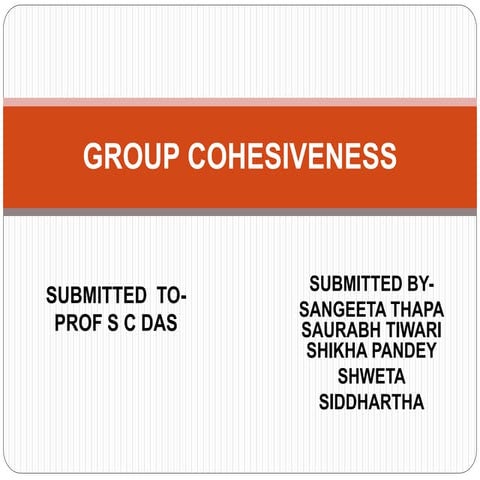 group cohesiveness