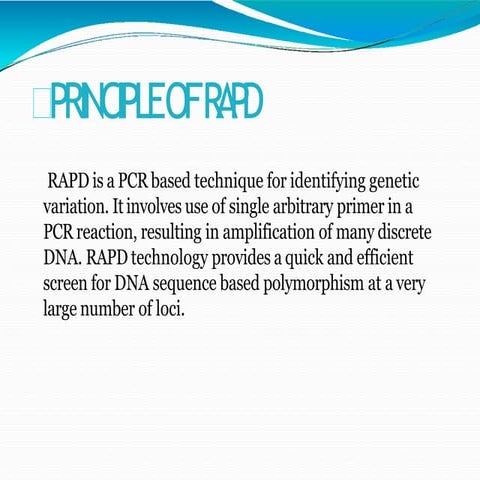 ppt AFLP n RFLP by yeni - Copy.pptx