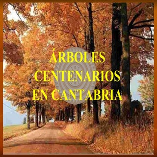Ppt Arboles
