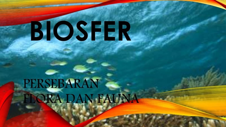 82 Gambar Persebaran Flora Berdasarkan Elevasi Kekinian 82 Gambar Persebaran Flora Berdasarkan Elevasi Kekinian