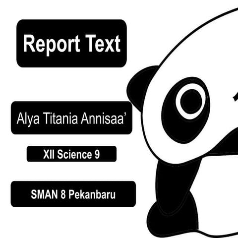 Report Text