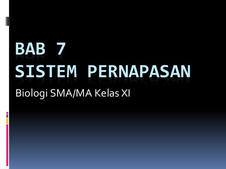 Pembahasan Soal Respirasi Kls Xi