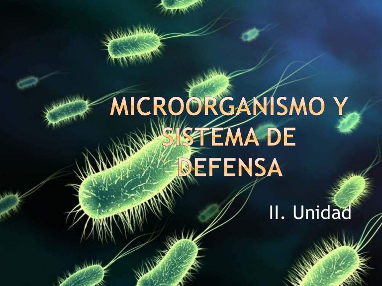 Ppt Bacterias 5