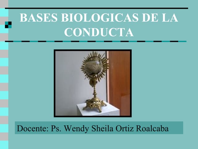 Bases biológicas ⒽⓈⒽ
