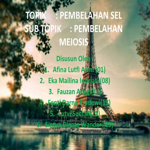 Ppt bio Pembelahan MEIOSIS