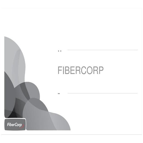 FiberCorp -Sebastián Borghello | PDF