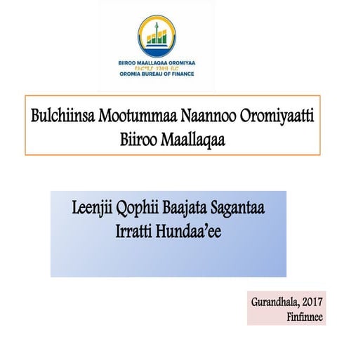 PPT BSiH budget manual for BAAAWO final.pptx