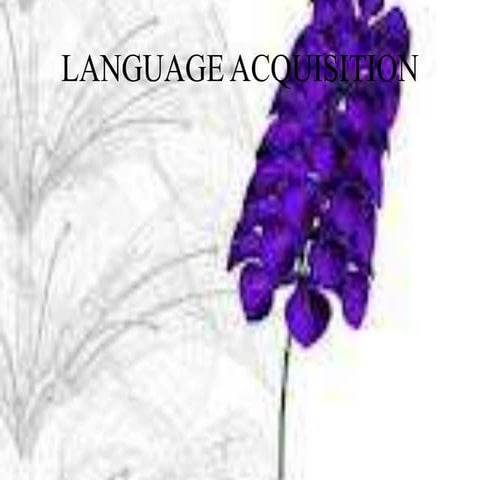 Language acquisition