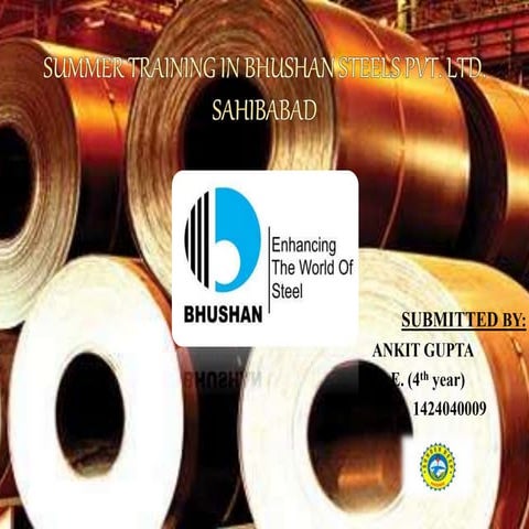 Power Point Presentation on training in bhushan steel private ltd