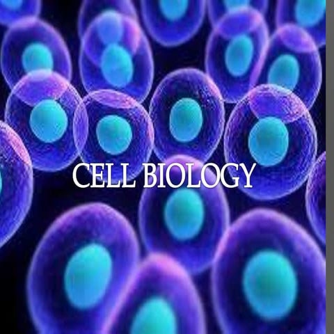 Austin Cell Biology